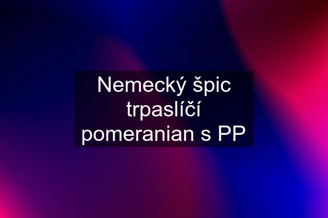 Nemecký špic trpaslíčí pomeranian s PP