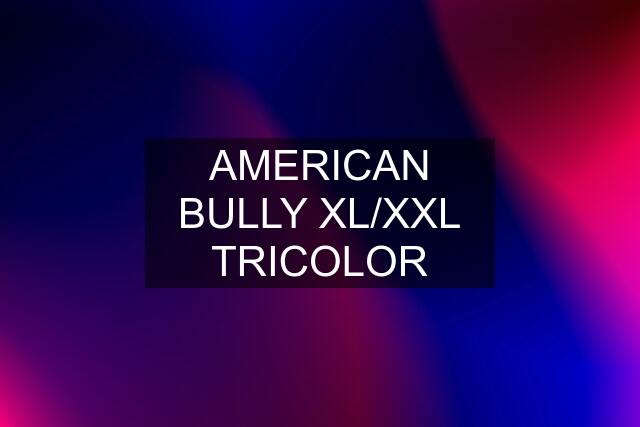 AMERICAN BULLY XL/XXL TRICOLOR
