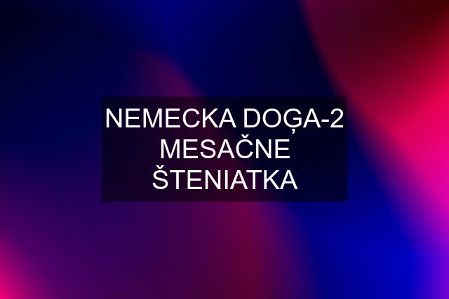 NEMECKA DOĢA-2 MESAČNE ŠTENIATKA