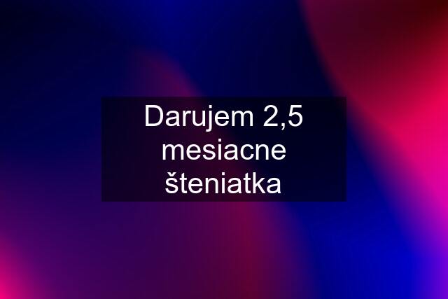 Darujem 2,5 mesiacne šteniatka