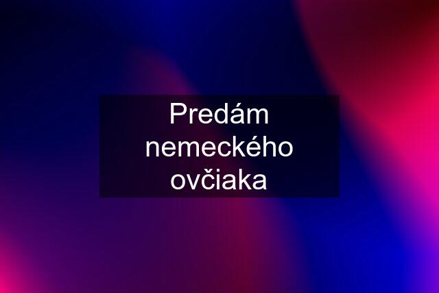 Predám nemeckého ovčiaka