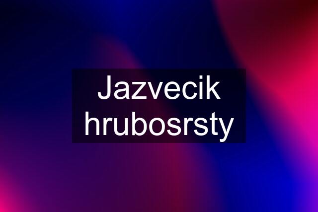 Jazvecik hrubosrsty