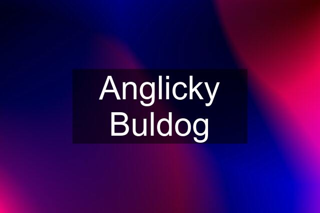 Anglicky Buldog