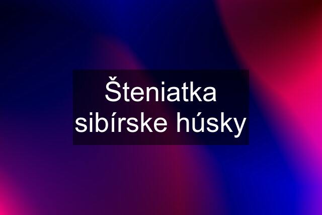 Šteniatka sibírske húsky