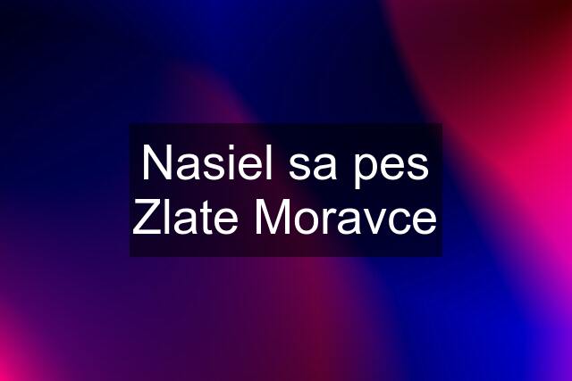 Nasiel sa pes Zlate Moravce