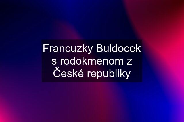 Francuzky Buldocek s rodokmenom z České republiky