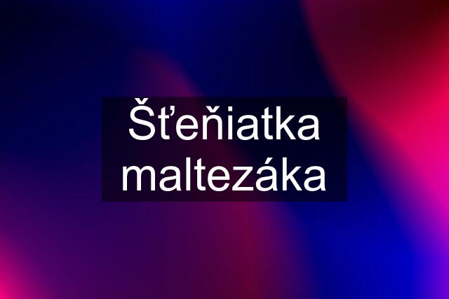 Šťeňiatka maltezáka