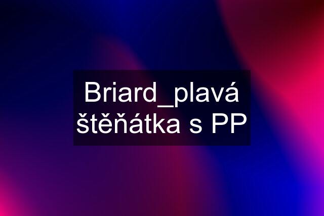 Briard_plavá štěňátka s PP