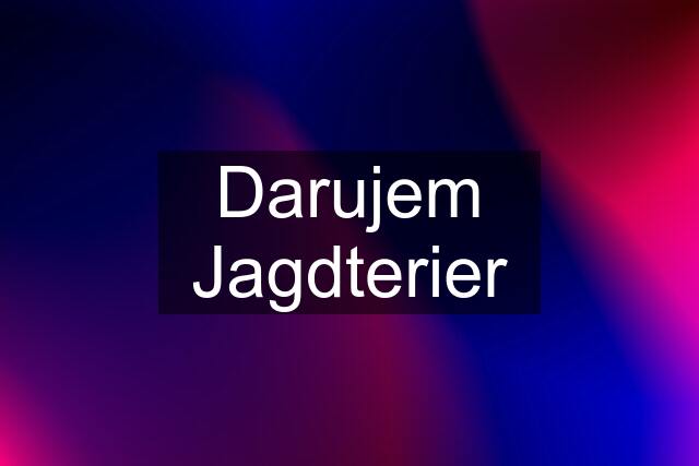 Darujem Jagdterier