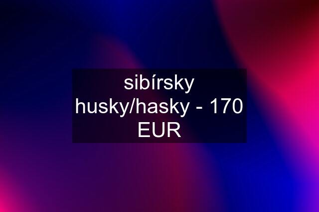 sibírsky husky/hasky - 170 EUR