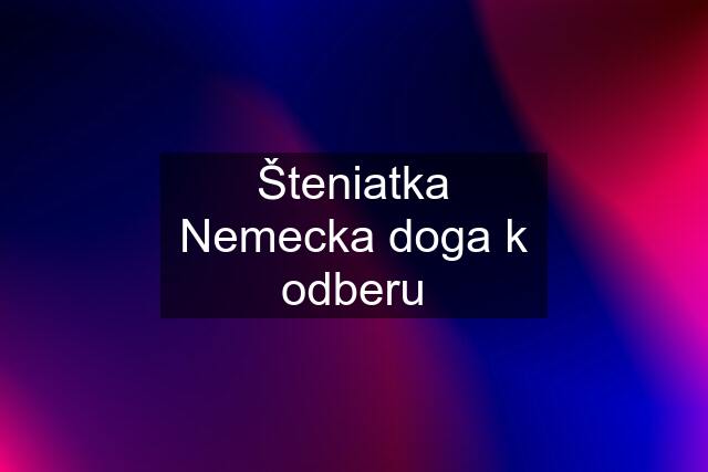 Šteniatka Nemecka doga k odberu