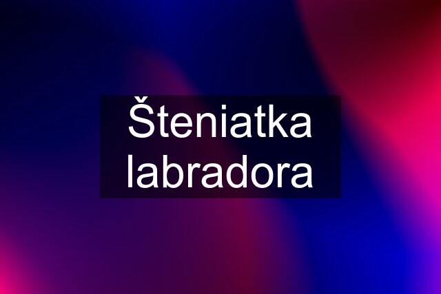 Šteniatka labradora