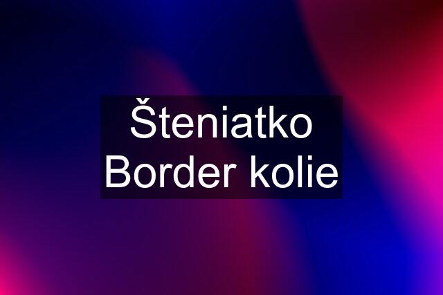 Šteniatko Border kolie