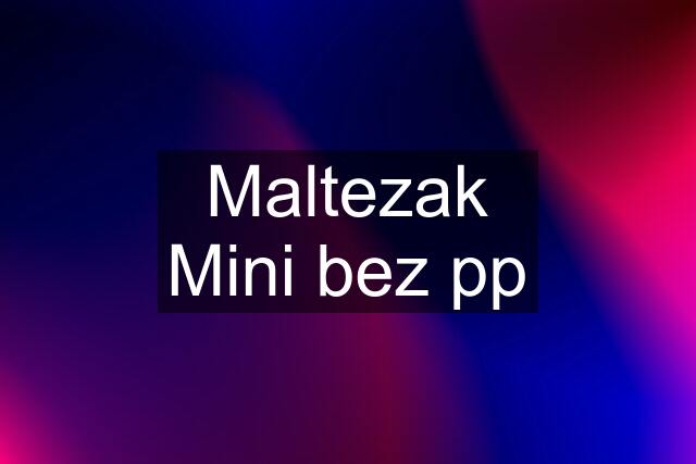 Maltezak Mini bez pp