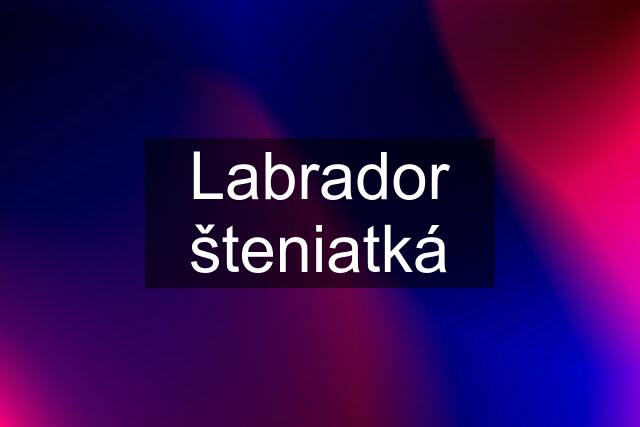 Labrador šteniatká