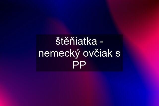 štěňiatka - nemecký ovčiak s PP