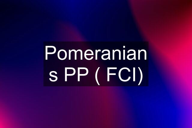 Pomeranian s PP ( FCI)