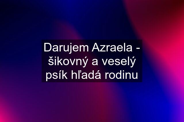 Darujem Azraela - šikovný a veselý psík hľadá rodinu