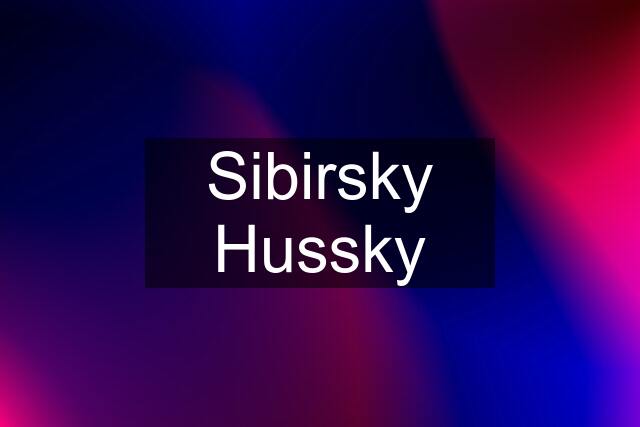 Sibirsky Hussky