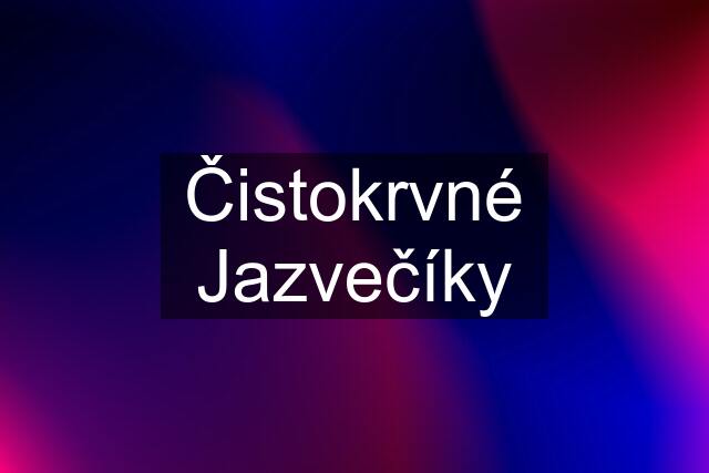 Čistokrvné Jazvečíky