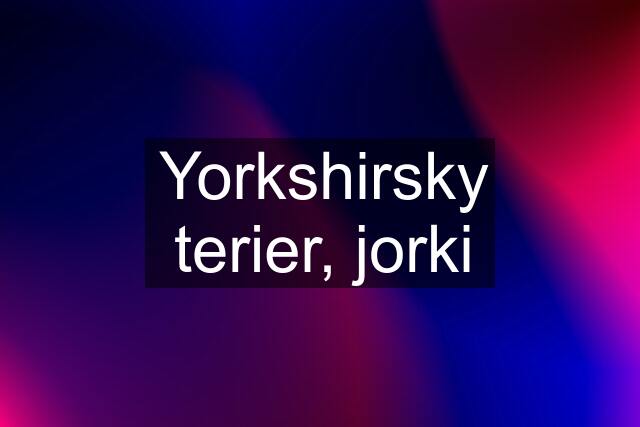 Yorkshirsky terier, jorki