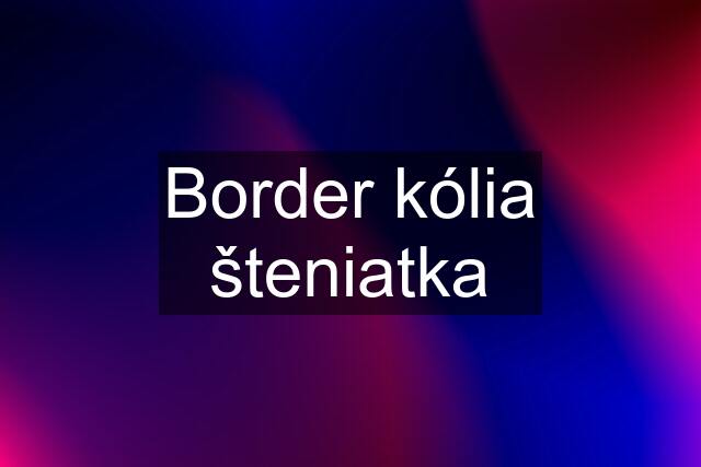Border kólia šteniatka