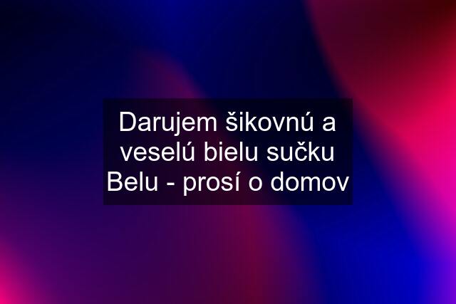 Darujem šikovnú a veselú bielu sučku Belu - prosí o domov