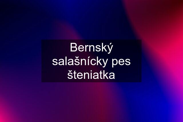 Bernský salašnícky pes šteniatka