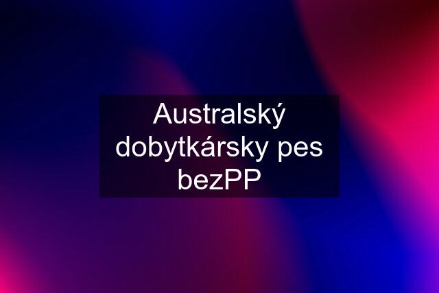 Australský dobytkársky pes bezPP