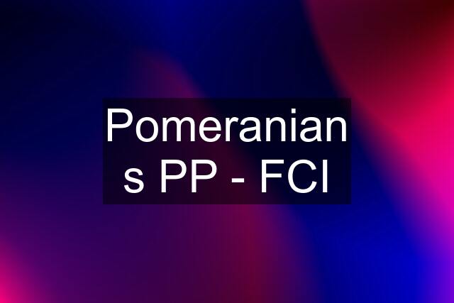 Pomeranian s PP - FCI