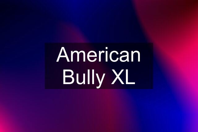 American Bully XL