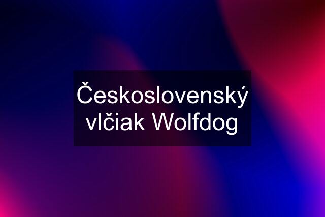 Československý vlčiak Wolfdog