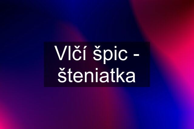 Vlčí špic - šteniatka