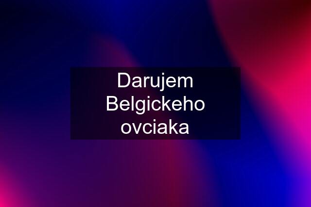 Darujem Belgickeho ovciaka