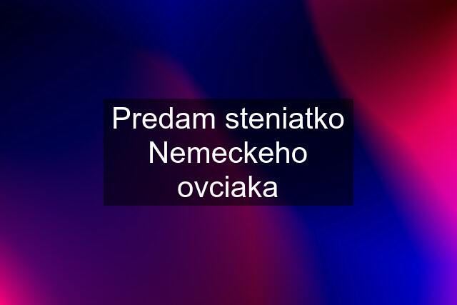 Predam steniatko Nemeckeho ovciaka