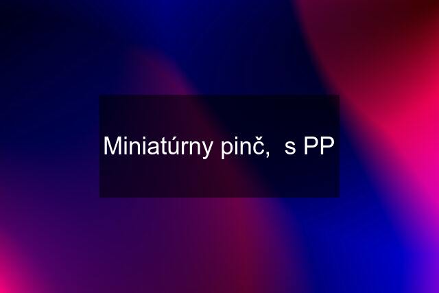 Miniatúrny pinč,  s PP