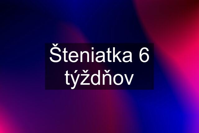 Šteniatka 6 týždňov