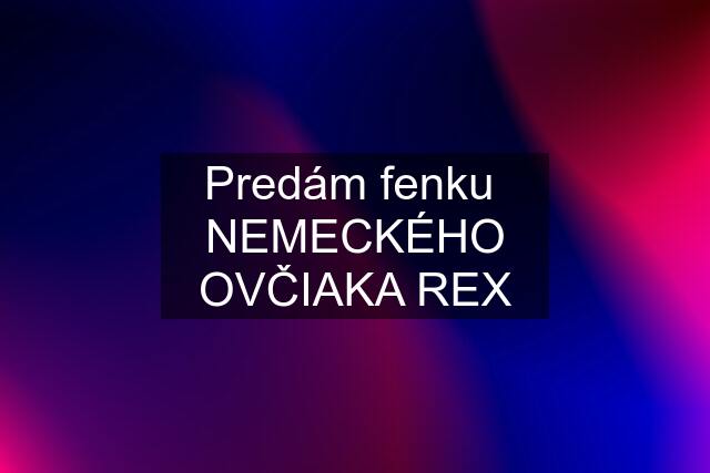 Predám fenku  NEMECKÉHO OVČIAKA REX