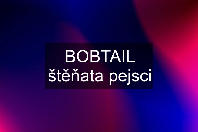 BOBTAIL štěňata pejsci