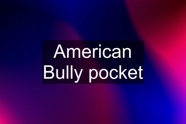 American Bully pocket