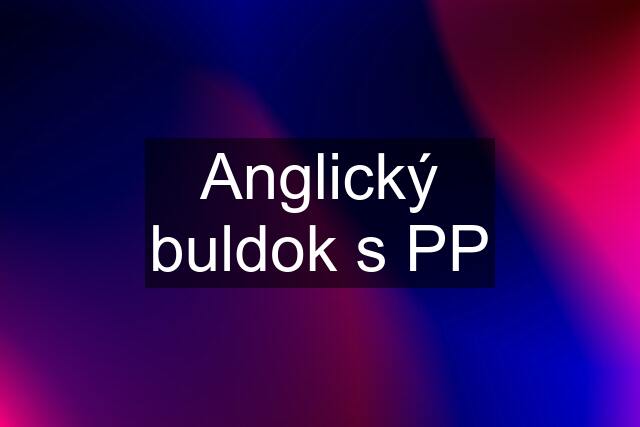 Anglický buldok s PP