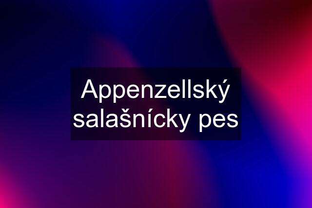 Appenzellský salašnícky pes