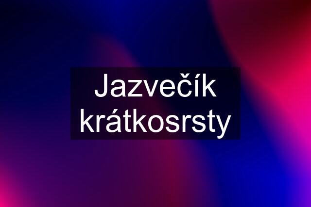 Jazvečík krátkosrsty