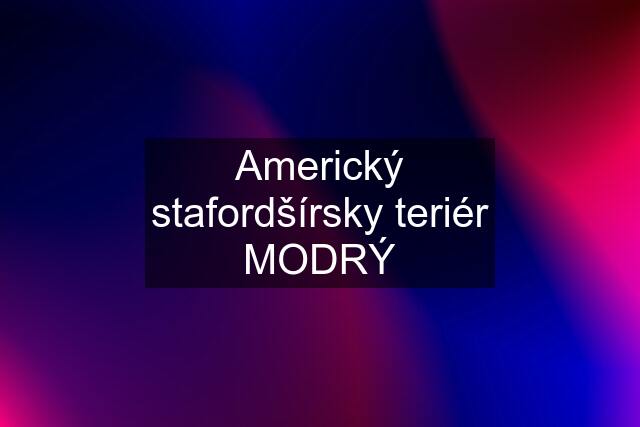 Americký stafordšírsky teriér MODRÝ