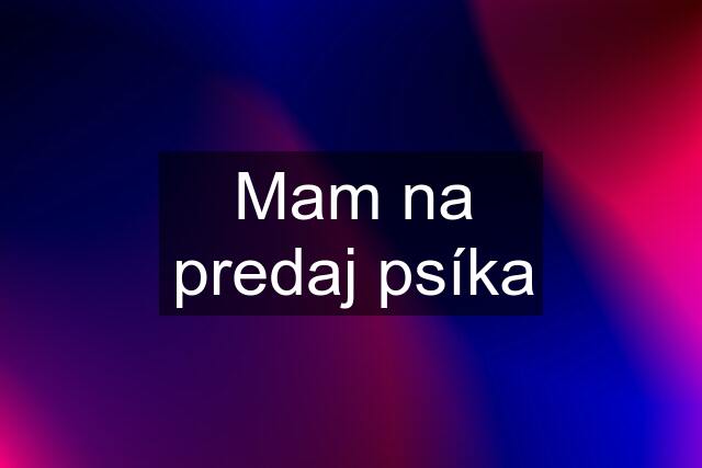 Mam na predaj psíka