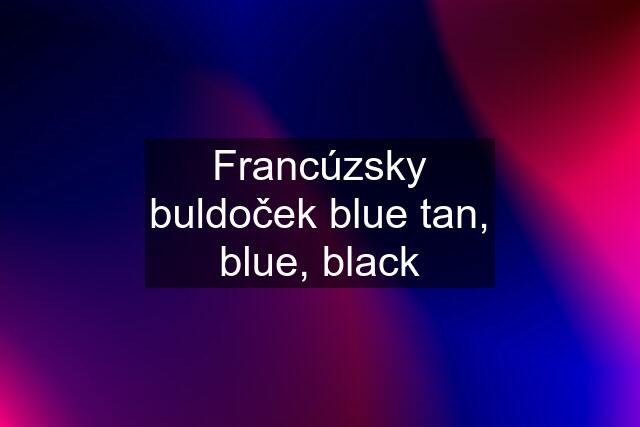 Francúzsky buldoček blue tan, blue, black