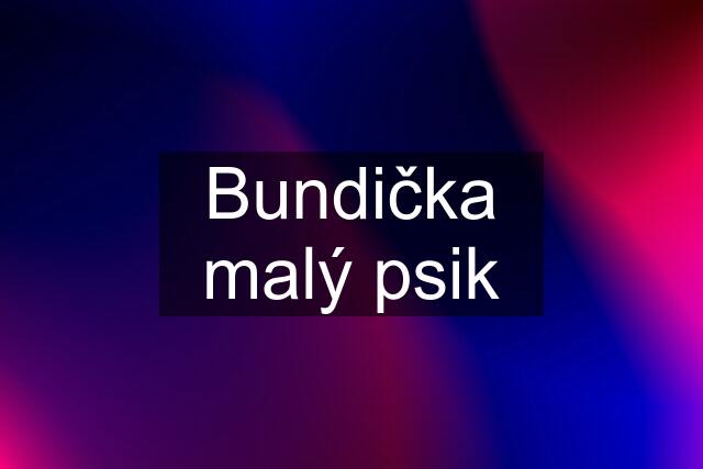 Bundička malý psik