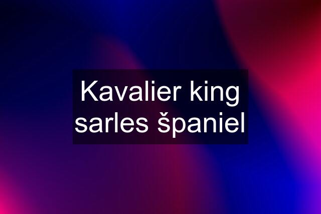 Kavalier king sarles španiel