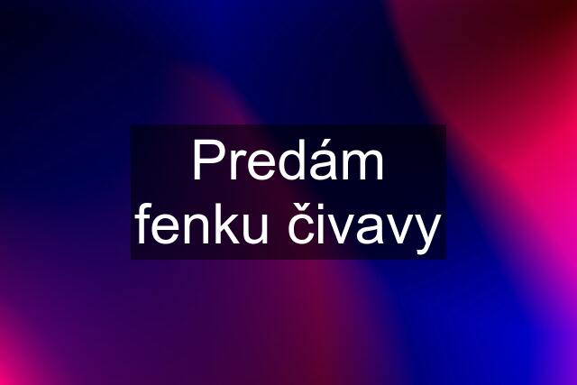 Predám fenku čivavy