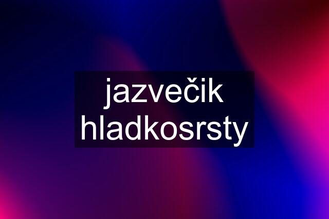 jazvečik hladkosrsty